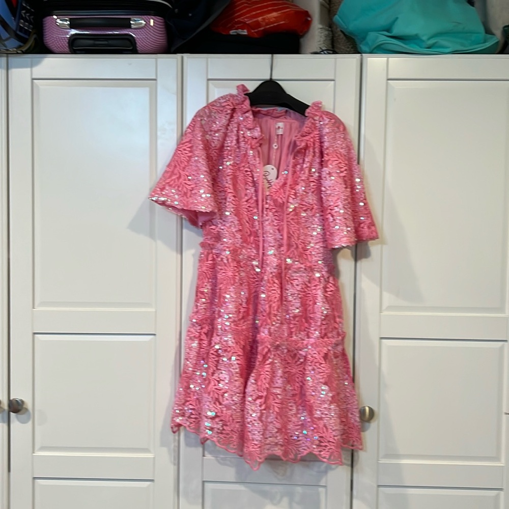 Buddy Love ❤️ Pink Sequin Dress